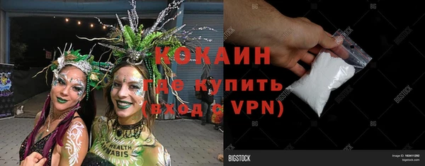 apvp Каменка