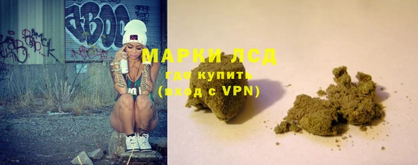 apvp Каменка