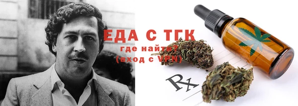 apvp Каменка