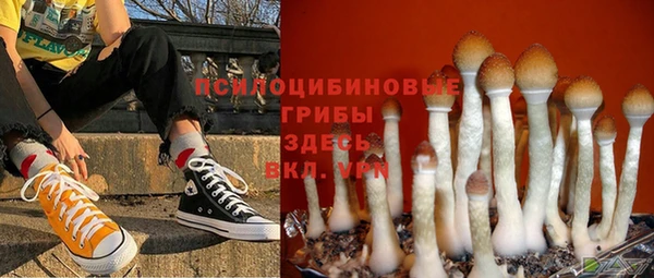 spice Карталы