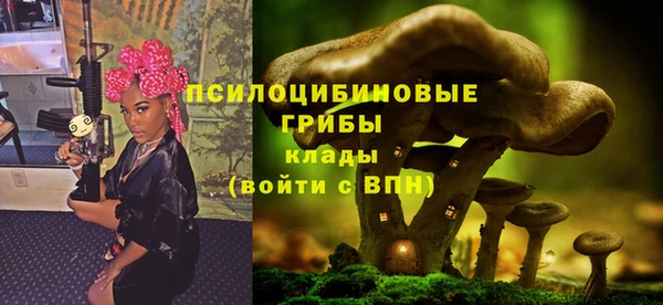 спайс Каменногорск