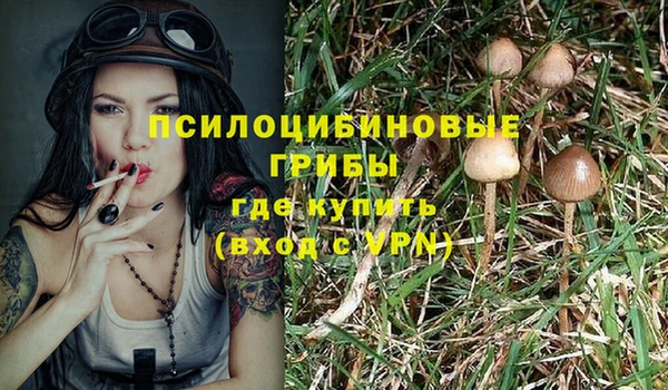 спайс Каменногорск